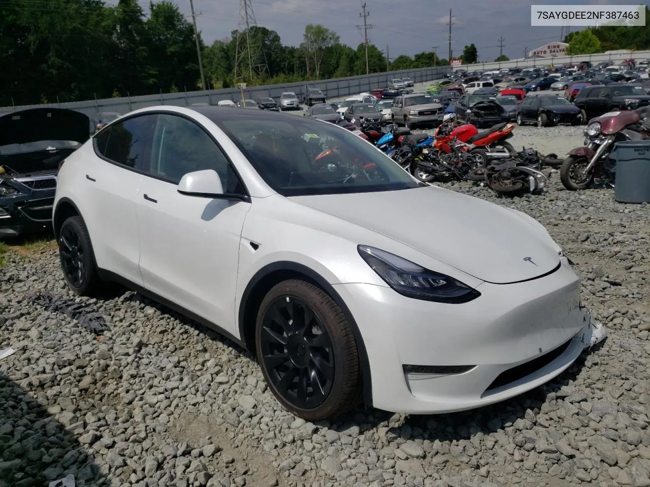 2022 Tesla Model Y VIN: 7SAYGDEE2NF387463 Lot: 48400792