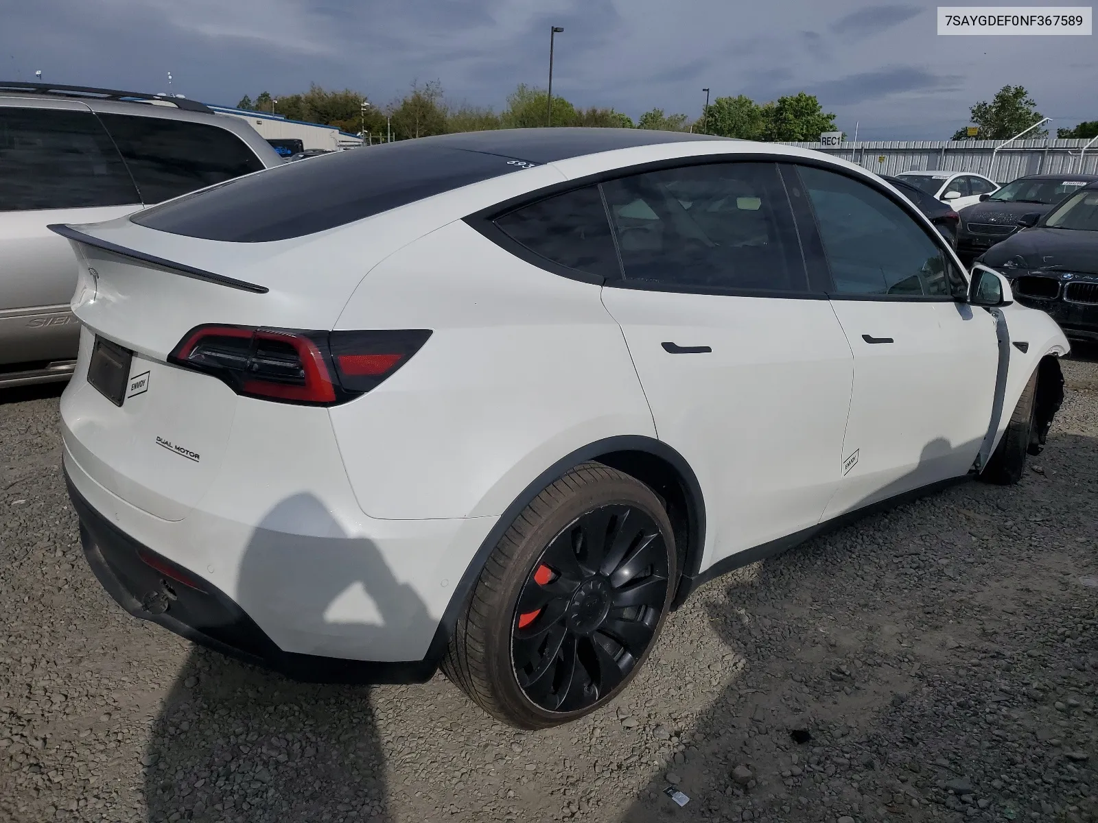 2022 Tesla Model Y VIN: 7SAYGDEF0NF367589 Lot: 49362644