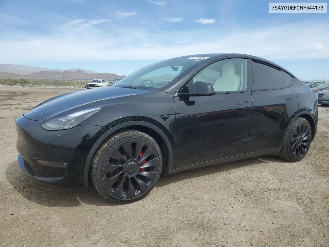 2022 Tesla Model Y VIN: 7SAYGDEF0NF544173 Lot: 51220684