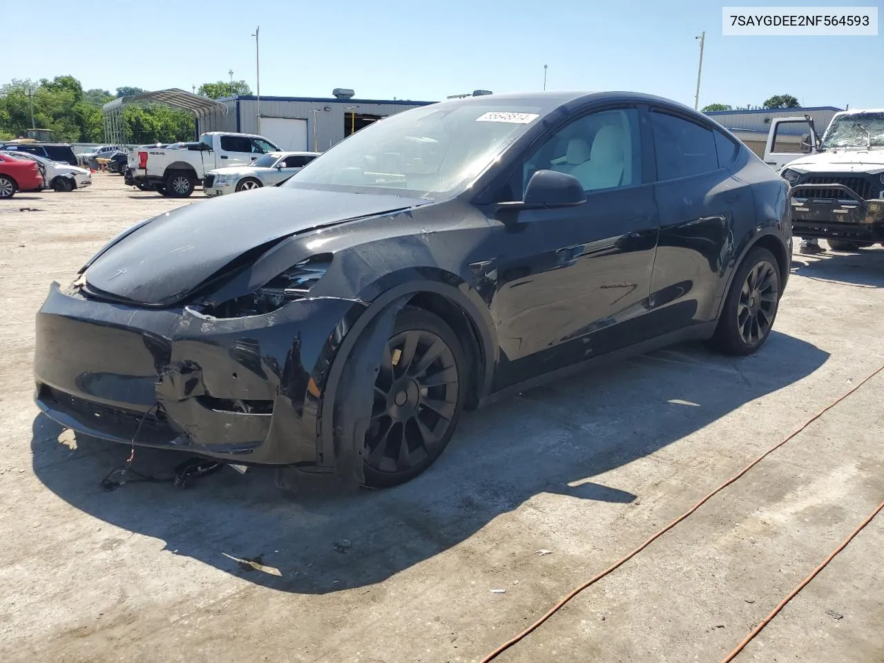 2022 Tesla Model Y VIN: 7SAYGDEE2NF564593 Lot: 55648814