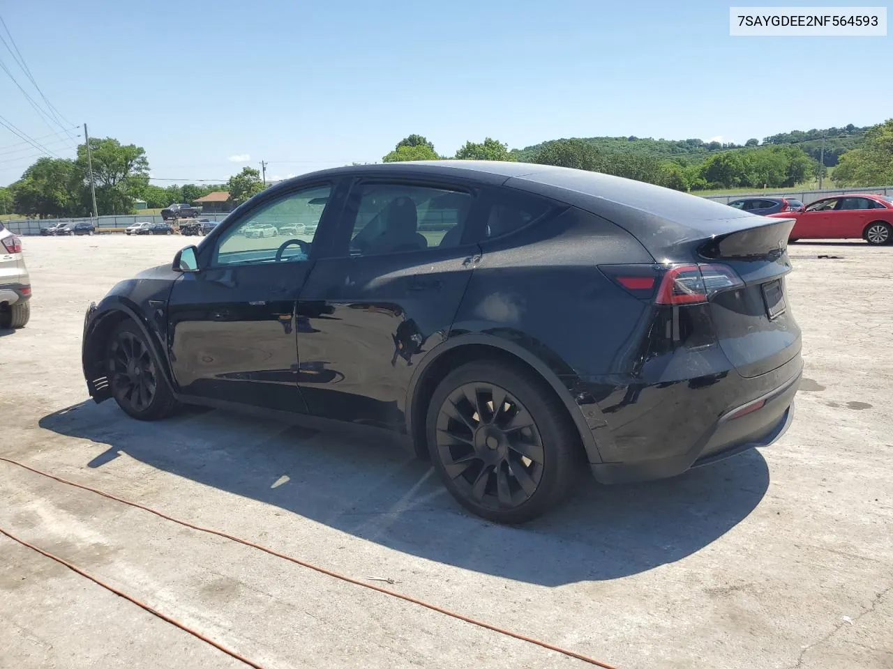 2022 Tesla Model Y VIN: 7SAYGDEE2NF564593 Lot: 55648814