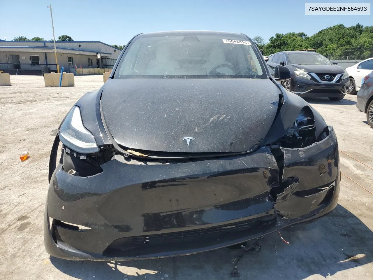 2022 Tesla Model Y VIN: 7SAYGDEE2NF564593 Lot: 55648814