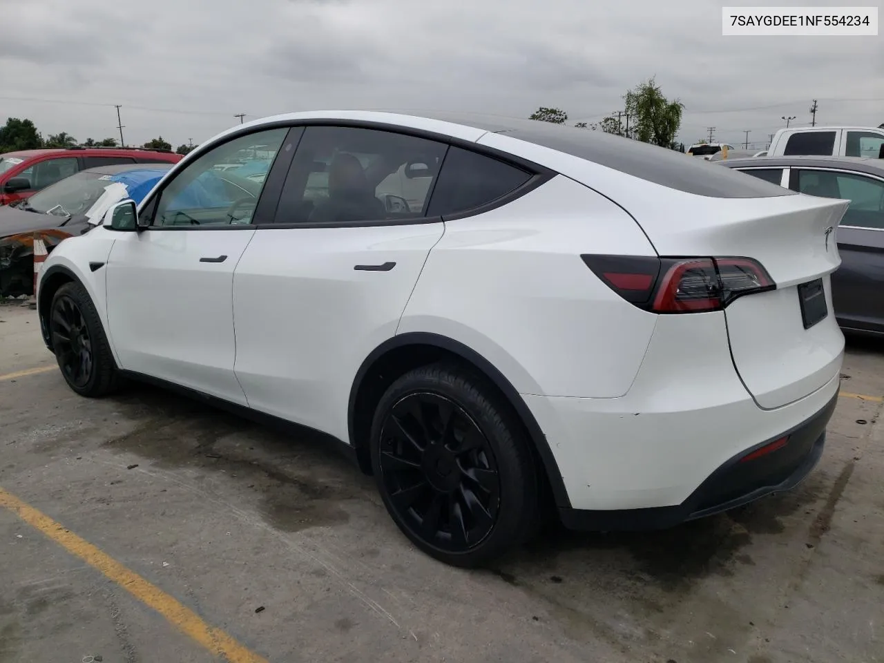 2022 Tesla Model Y VIN: 7SAYGDEE1NF554234 Lot: 55656584