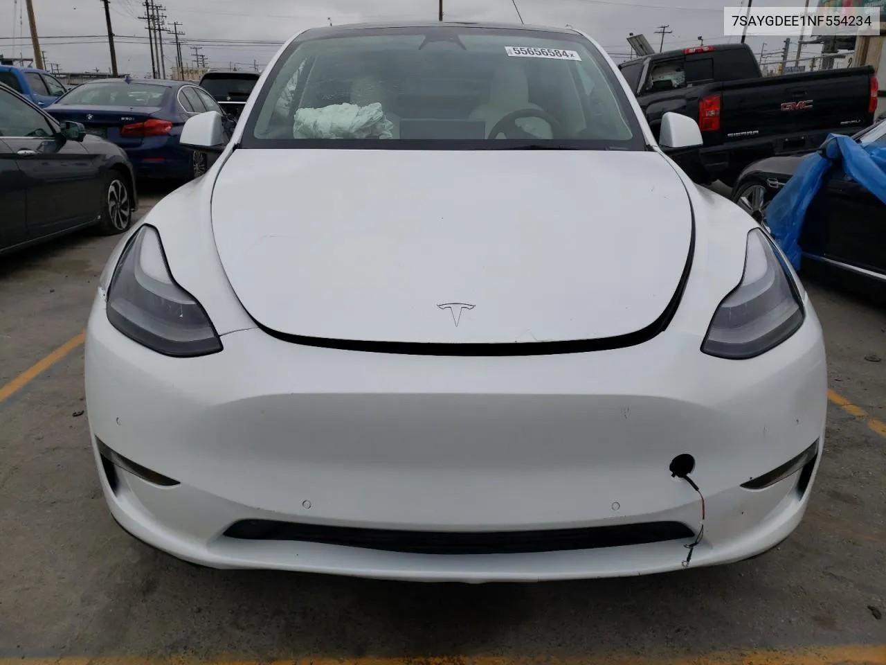 2022 Tesla Model Y VIN: 7SAYGDEE1NF554234 Lot: 55656584