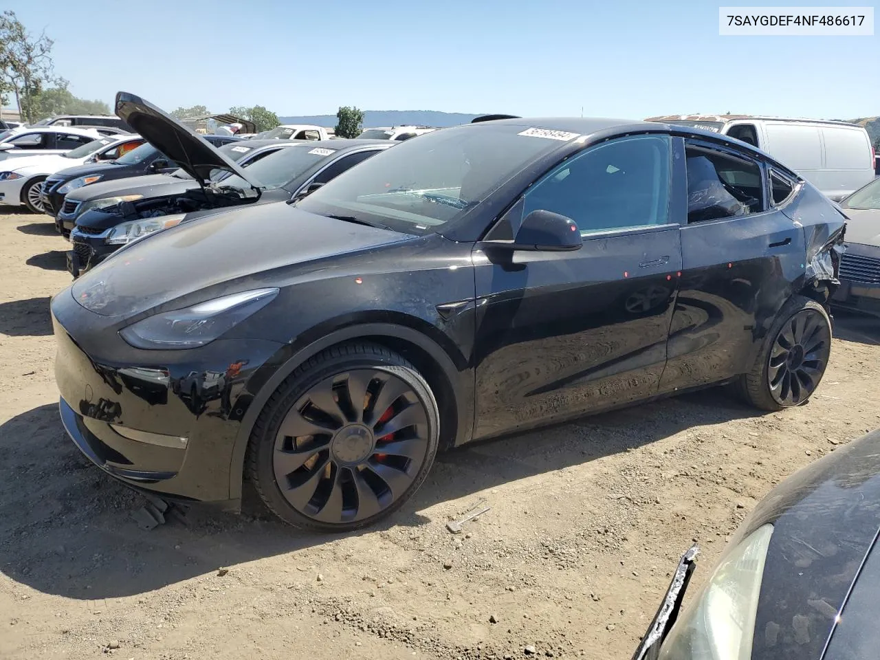 2022 Tesla Model Y VIN: 7SAYGDEF4NF486617 Lot: 56198494