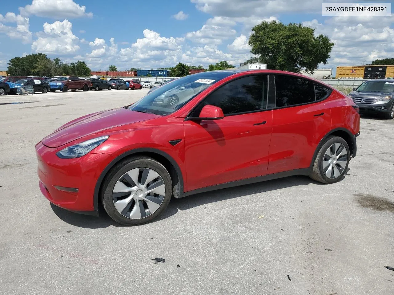 2022 Tesla Model Y VIN: 7SAYGDEE1NF428391 Lot: 58727634