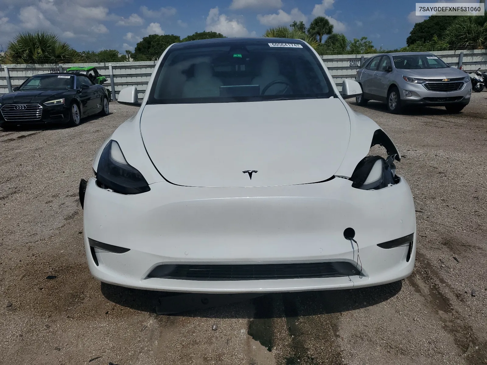 2022 Tesla Model Y VIN: 7SAYGDEFXNF531060 Lot: 60564174