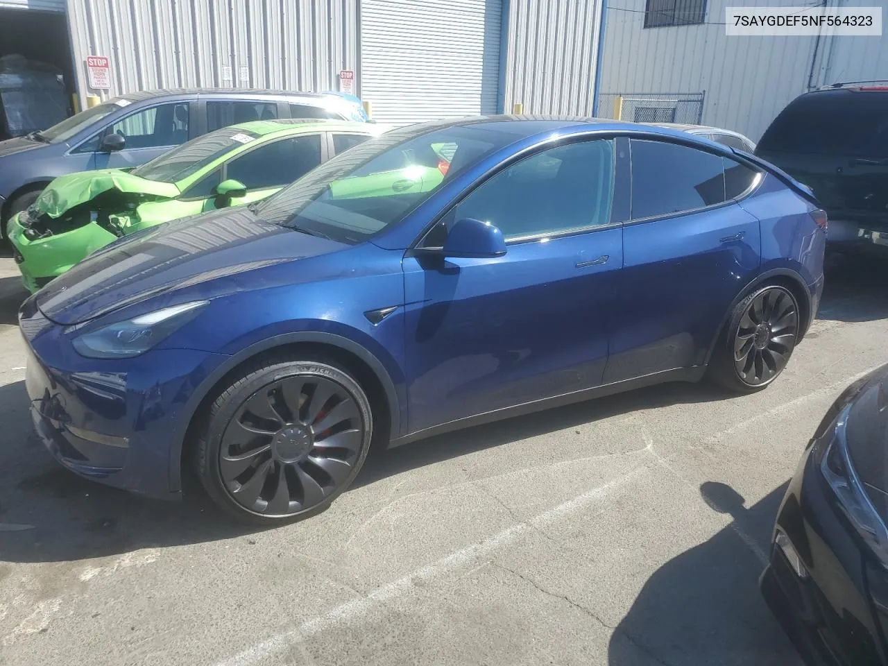 2022 Tesla Model Y VIN: 7SAYGDEF5NF564323 Lot: 61551574