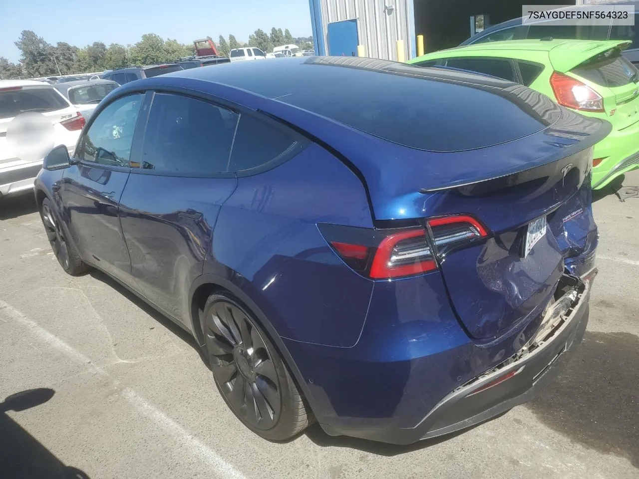 2022 Tesla Model Y VIN: 7SAYGDEF5NF564323 Lot: 61551574