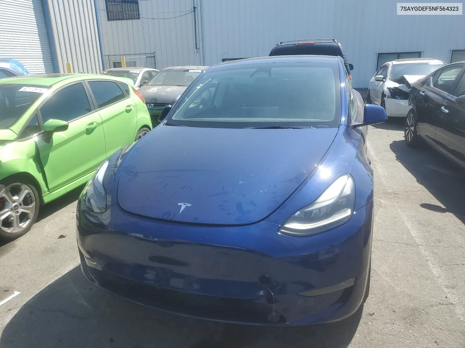 2022 Tesla Model Y VIN: 7SAYGDEF5NF564323 Lot: 61551574