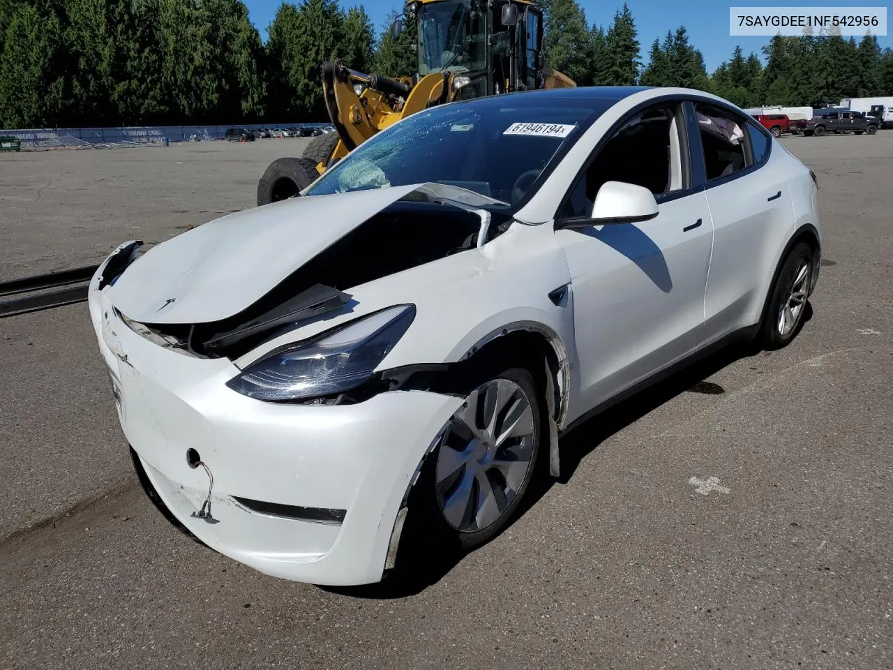 2022 Tesla Model Y VIN: 7SAYGDEE1NF542956 Lot: 61946194