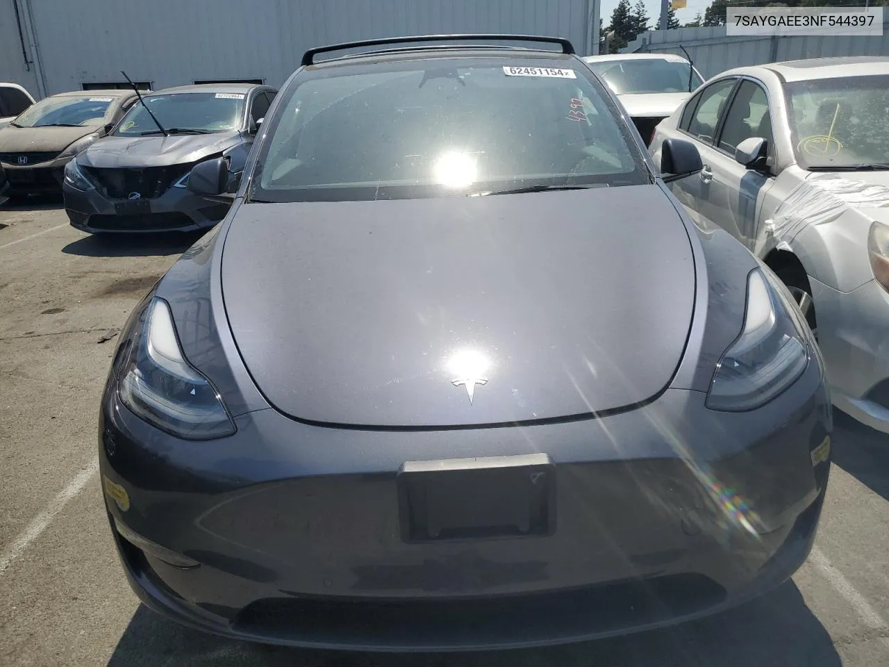 2022 Tesla Model Y VIN: 7SAYGAEE3NF544397 Lot: 62451154