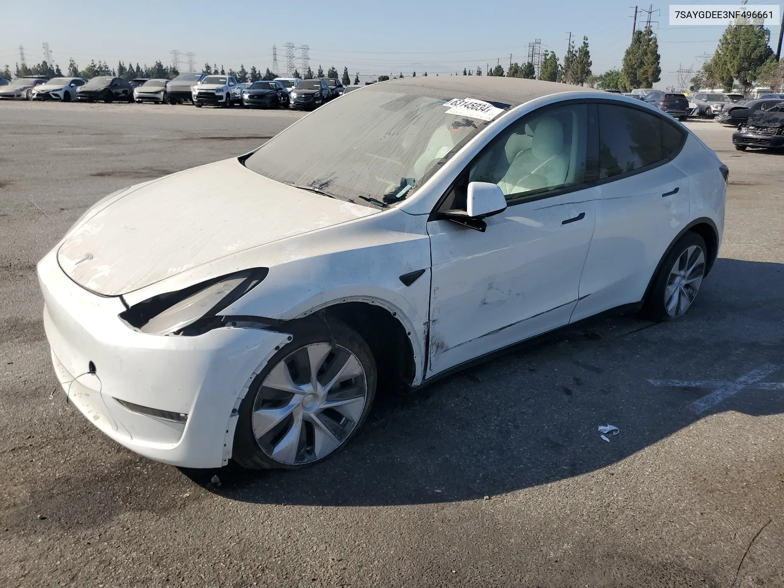 2022 Tesla Model Y VIN: 7SAYGDEE3NF496661 Lot: 63145034