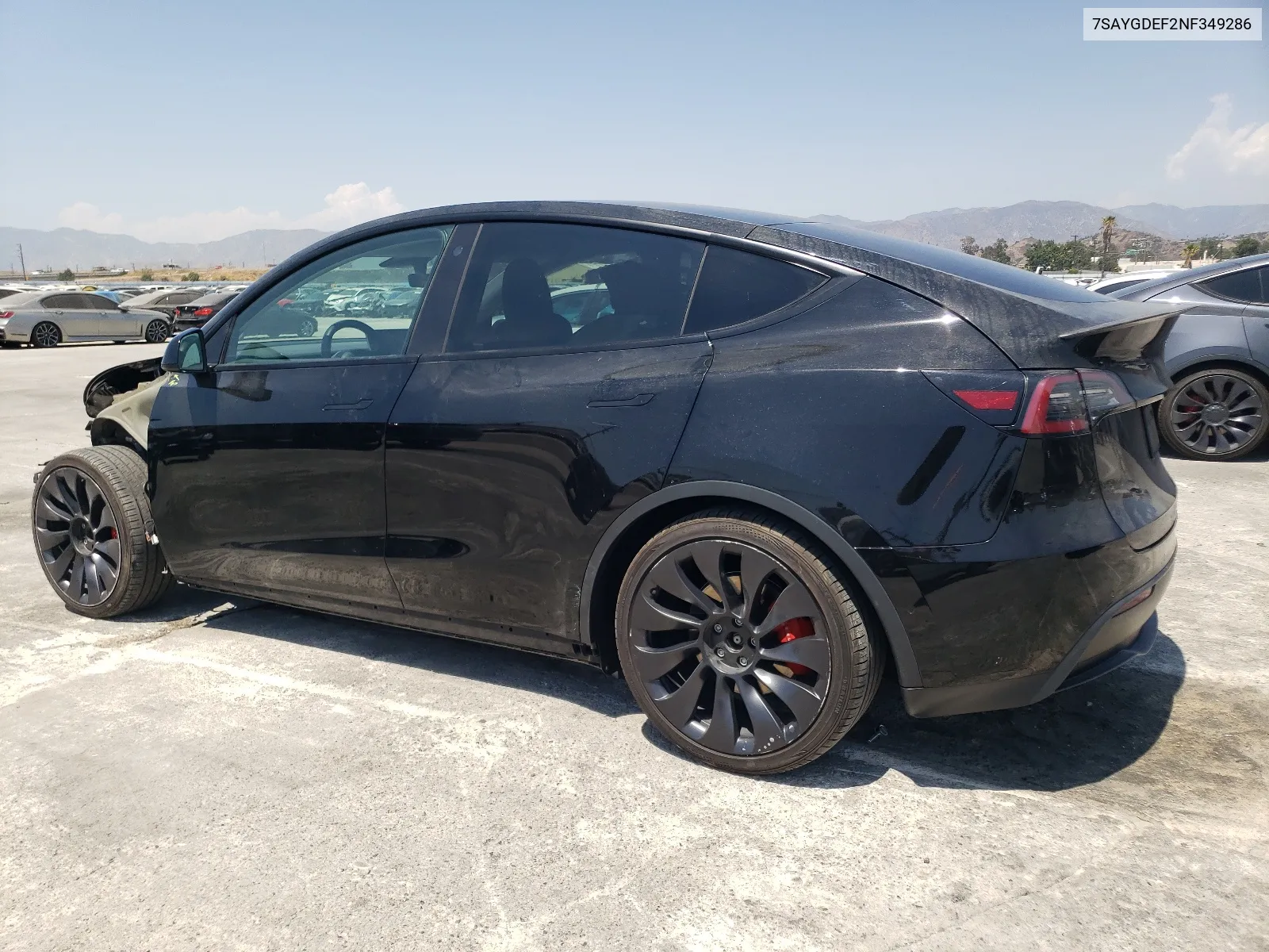 2022 Tesla Model Y VIN: 7SAYGDEF2NF349286 Lot: 64205854