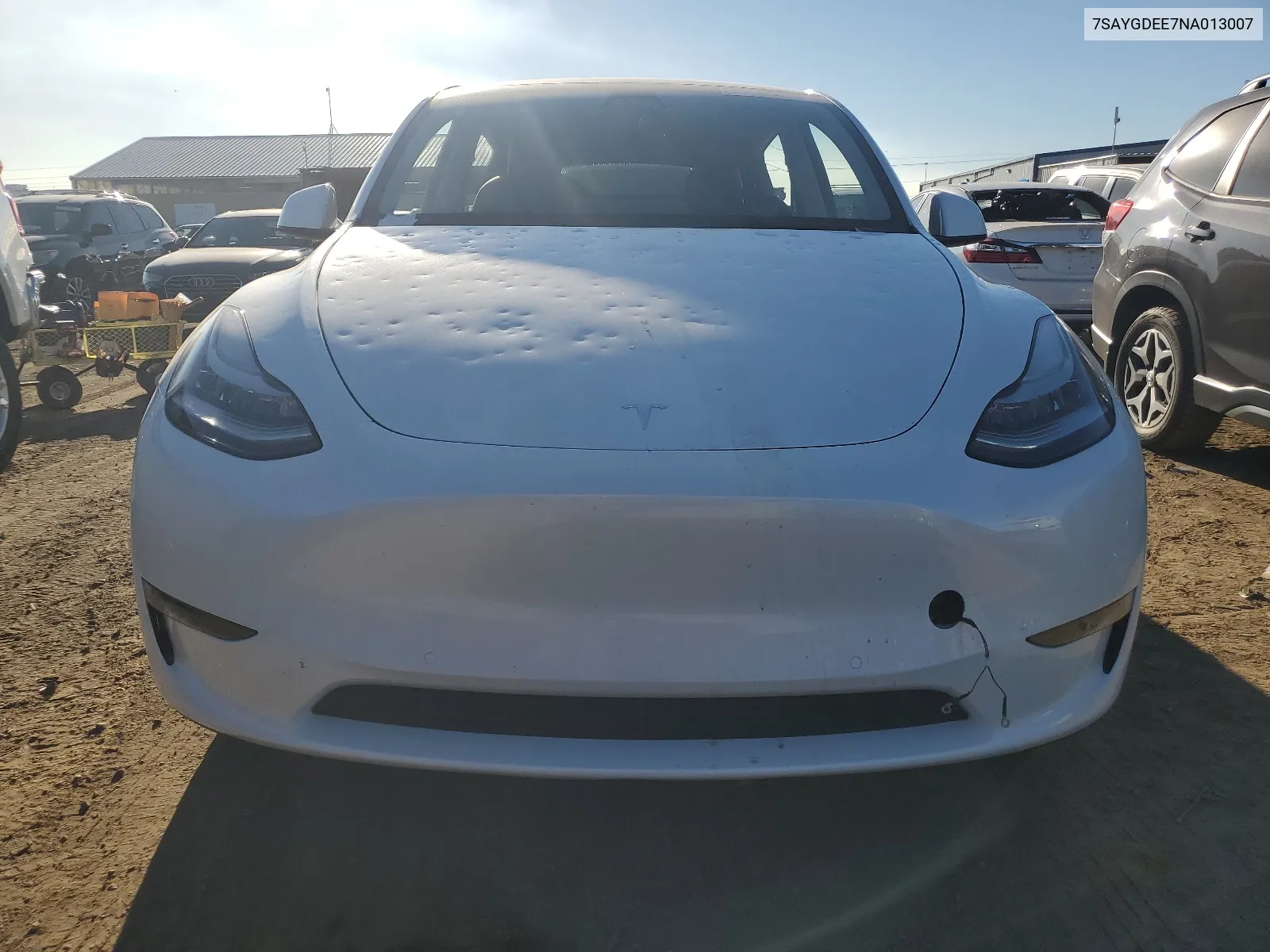 2022 Tesla Model Y VIN: 7SAYGDEE7NA013007 Lot: 64660454