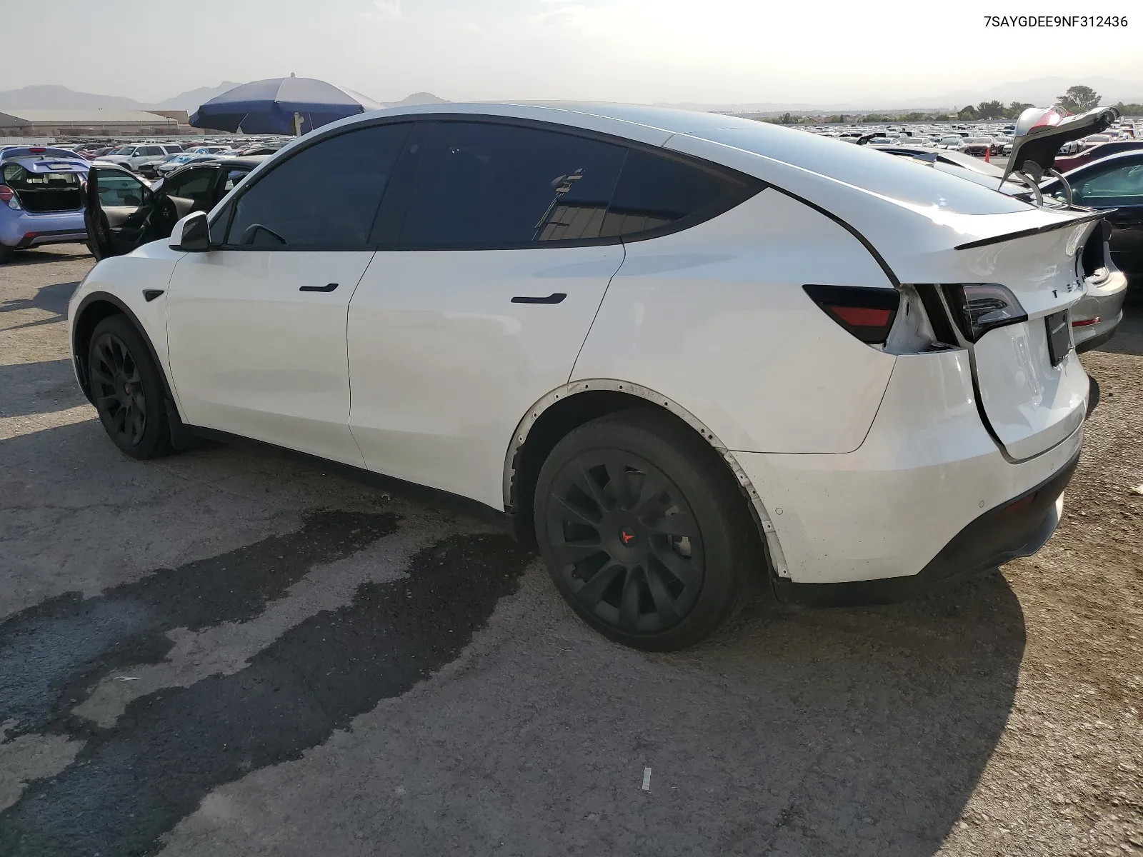 2022 Tesla Model Y VIN: 7SAYGDEE9NF312436 Lot: 64793554