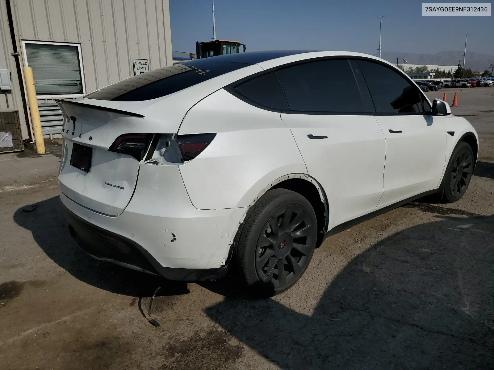 2022 Tesla Model Y VIN: 7SAYGDEE9NF312436 Lot: 64793554