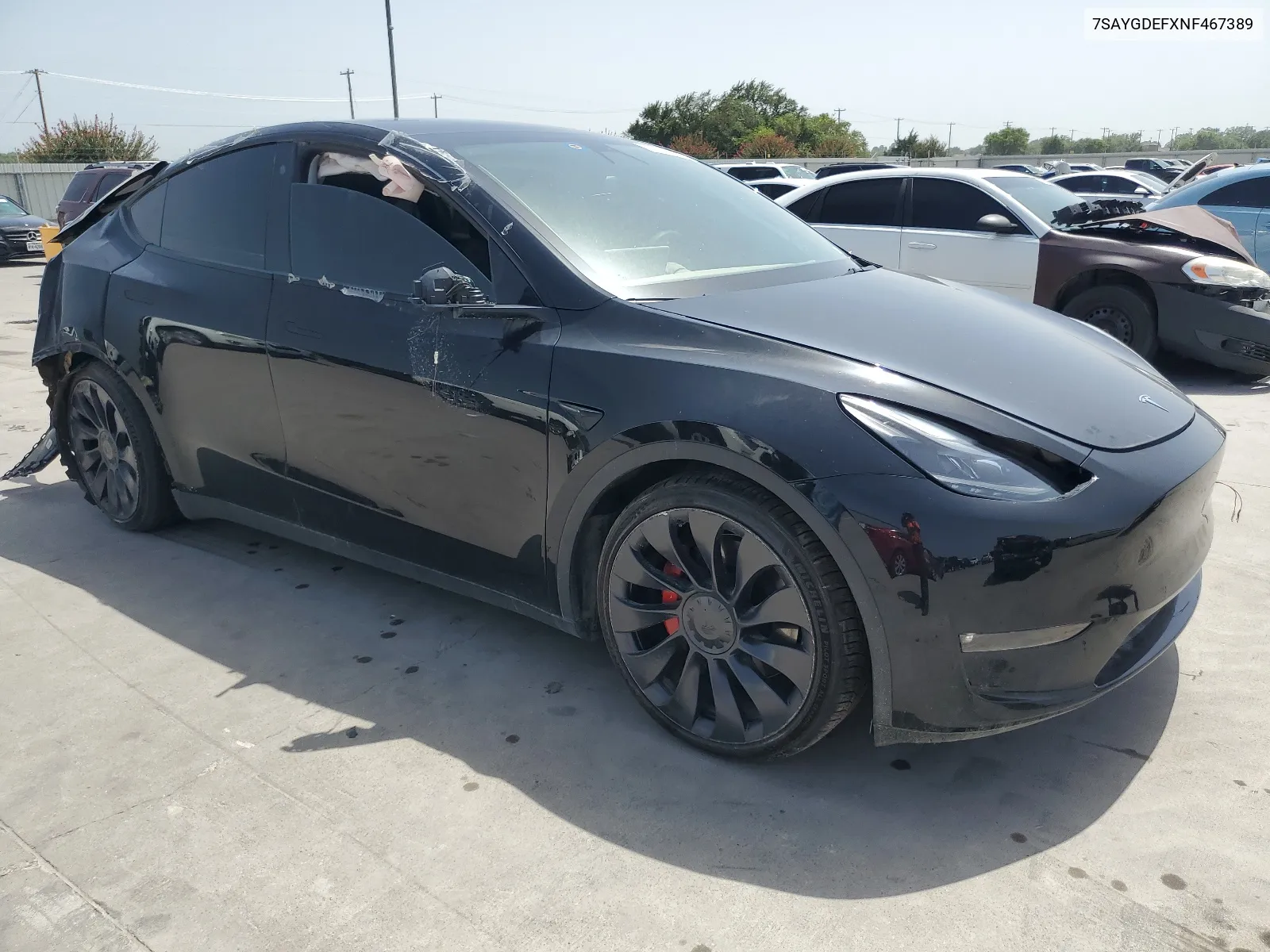 2022 Tesla Model Y VIN: 7SAYGDEFXNF467389 Lot: 65668284