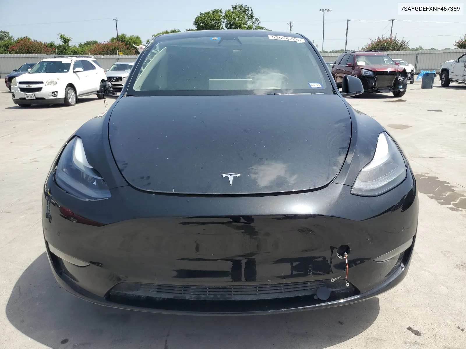 2022 Tesla Model Y VIN: 7SAYGDEFXNF467389 Lot: 65668284