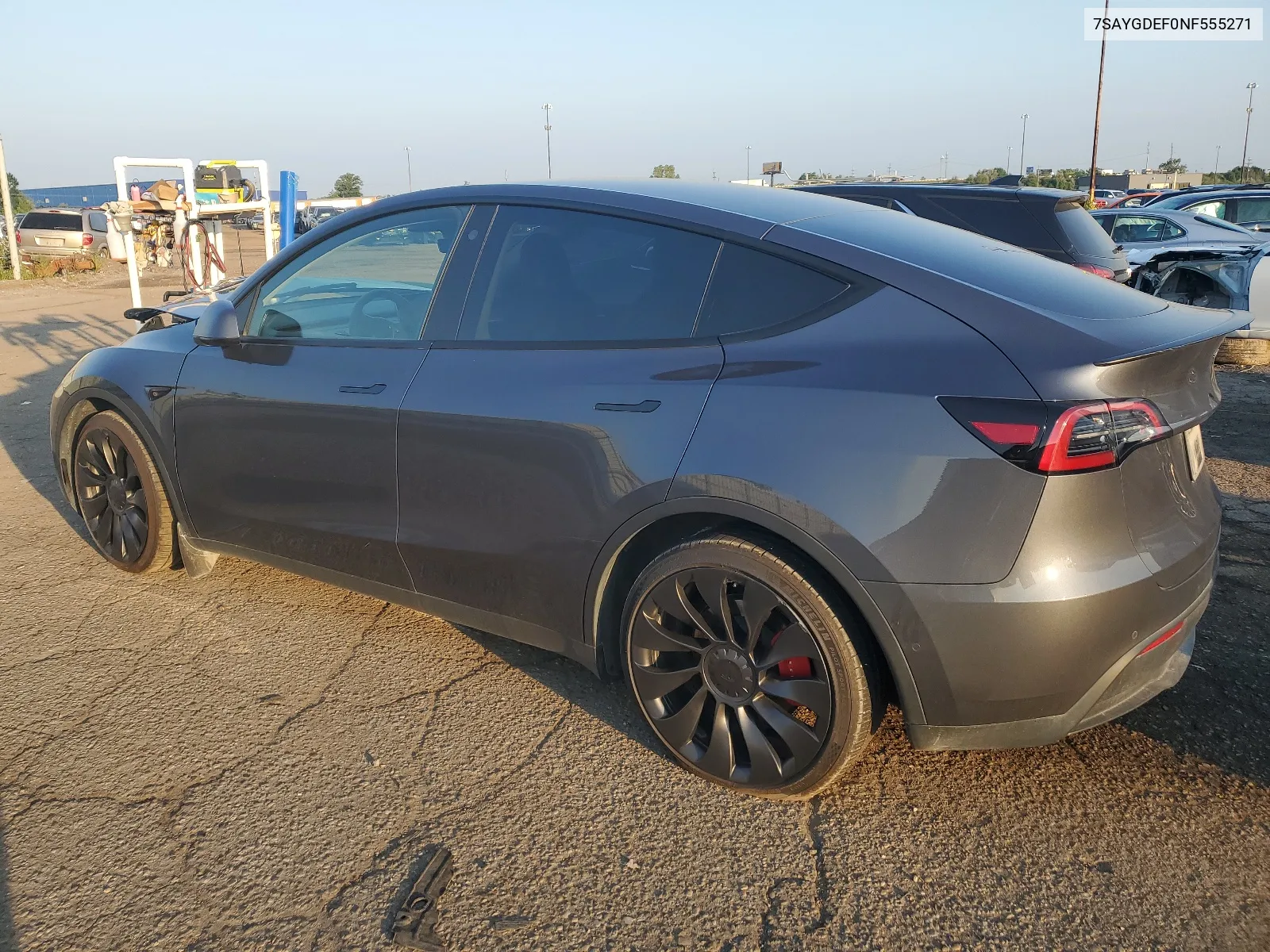 2022 Tesla Model Y VIN: 7SAYGDEF0NF555271 Lot: 66071534