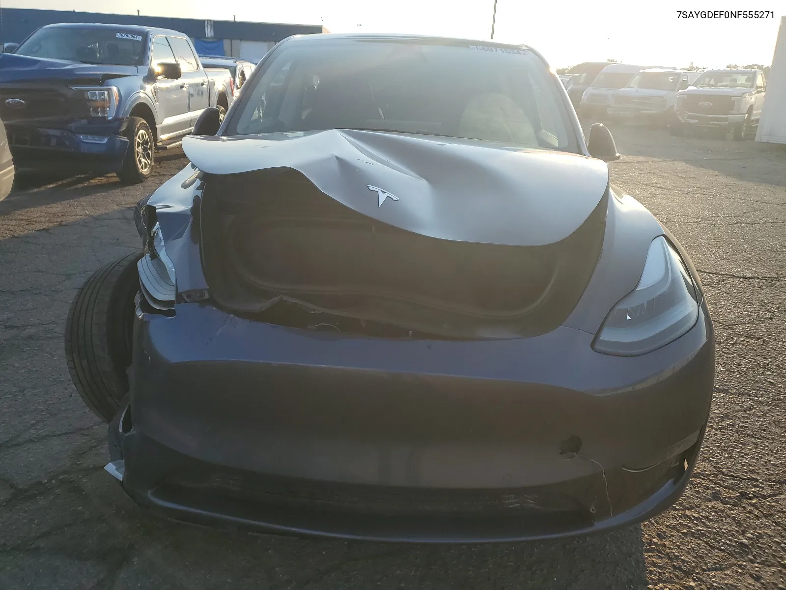 2022 Tesla Model Y VIN: 7SAYGDEF0NF555271 Lot: 66071534