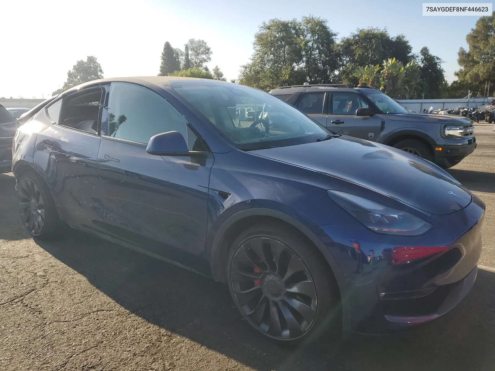 2022 Tesla Model Y VIN: 7SAYGDEF8NF446623 Lot: 66077894