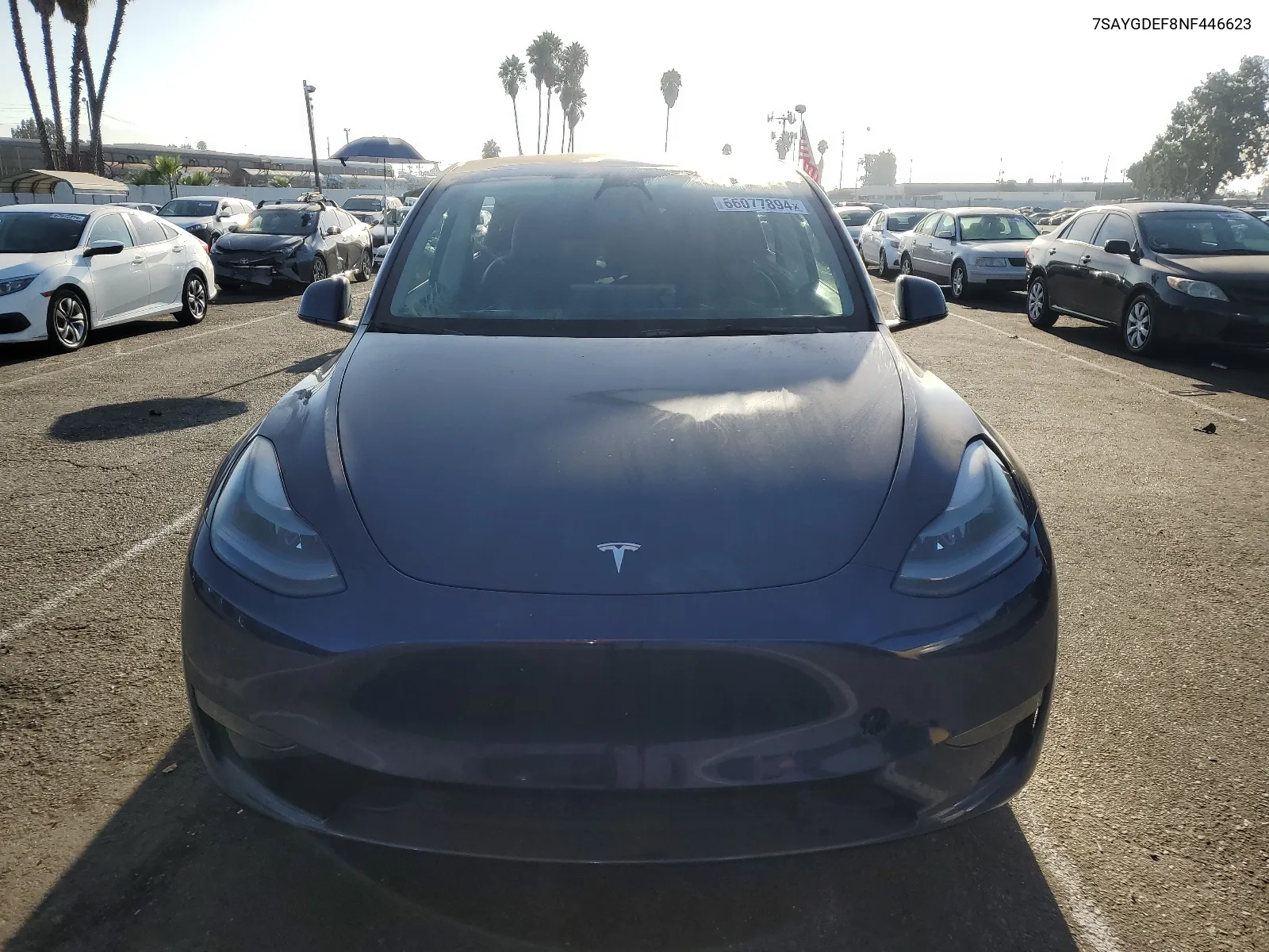 2022 Tesla Model Y VIN: 7SAYGDEF8NF446623 Lot: 66077894