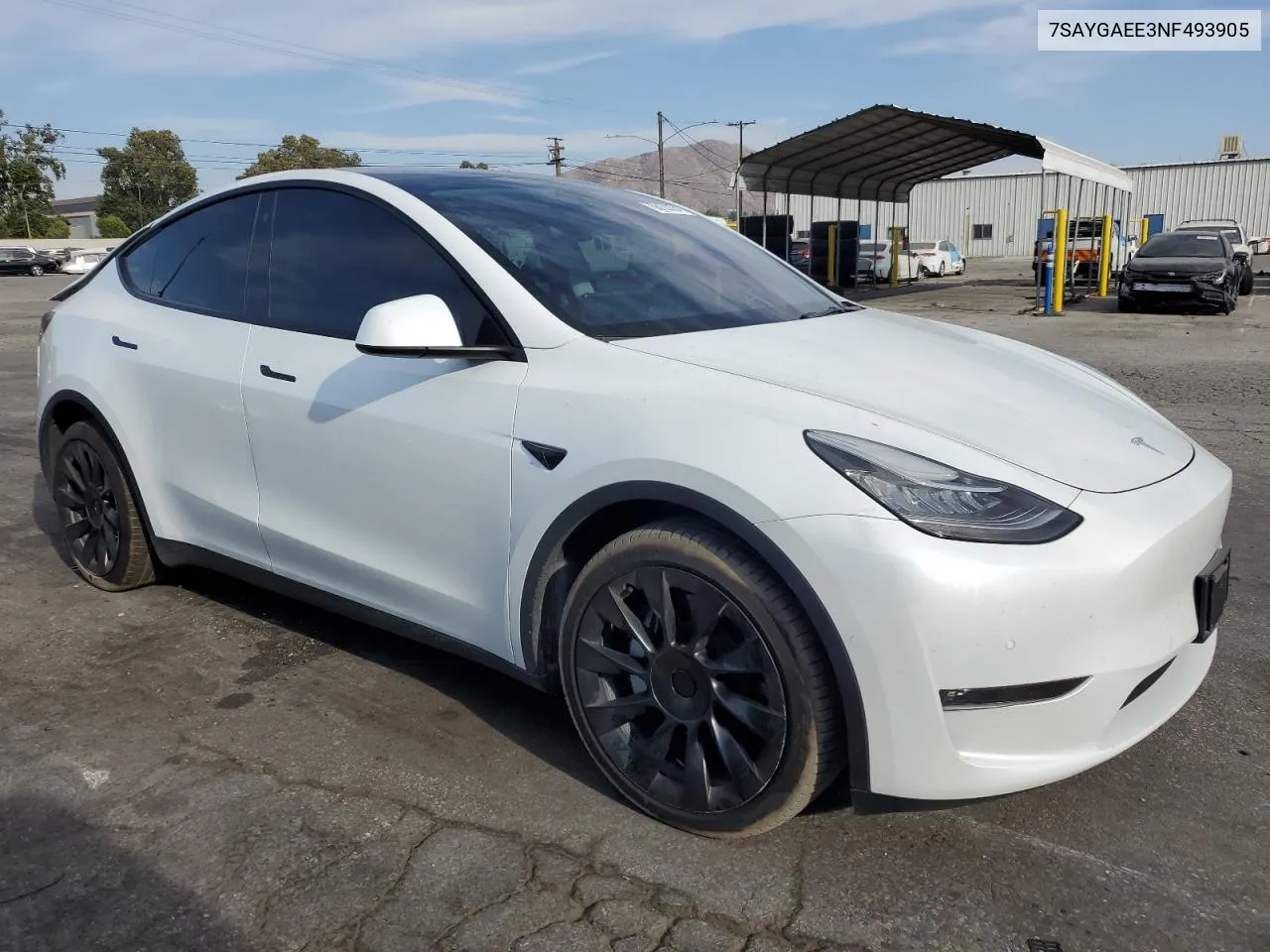 2022 Tesla Model Y VIN: 7SAYGAEE3NF493905 Lot: 66120834