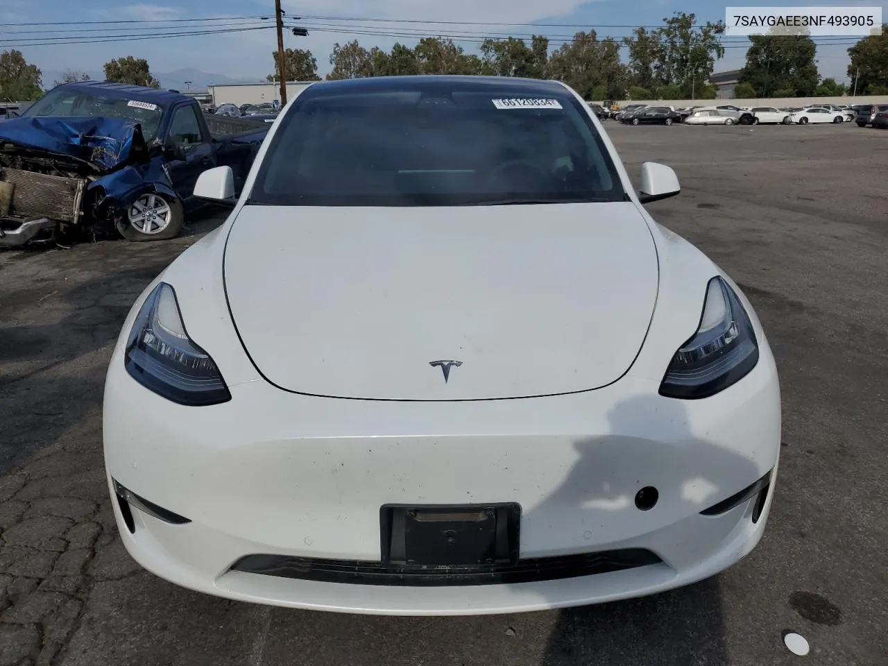 2022 Tesla Model Y VIN: 7SAYGAEE3NF493905 Lot: 66120834