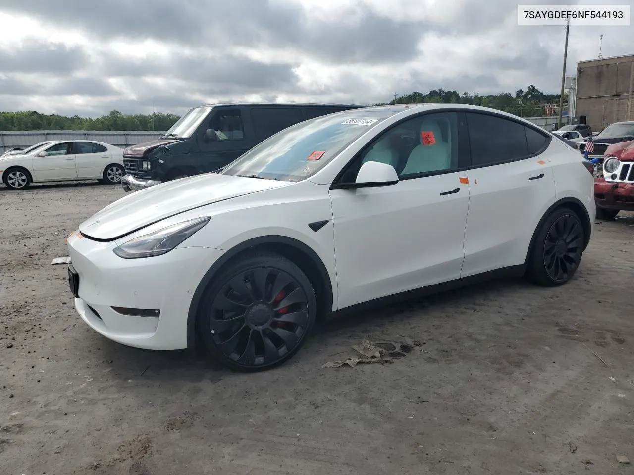 2022 Tesla Model Y VIN: 7SAYGDEF6NF544193 Lot: 66187754