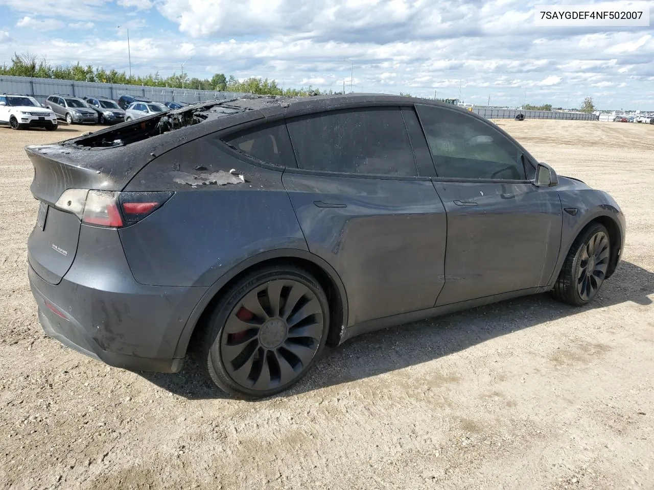 2022 Tesla Model Y VIN: 7SAYGDEF4NF502007 Lot: 66557624