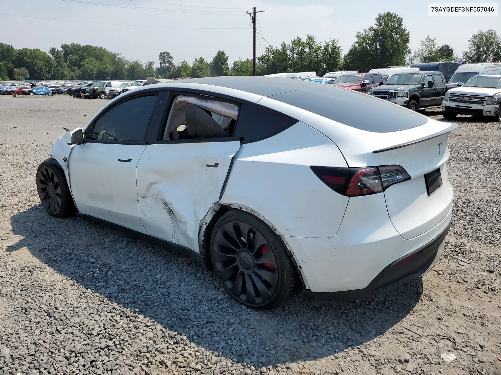 2022 Tesla Model Y VIN: 7SAYGDEF3NF557046 Lot: 66657374