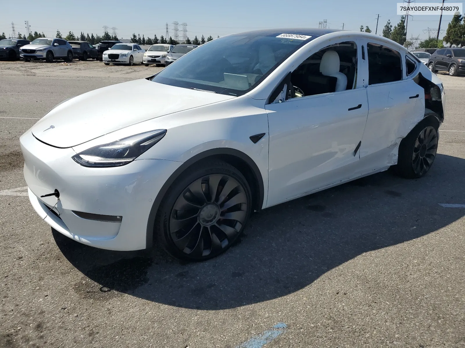 2022 Tesla Model Y VIN: 7SAYGDEFXNF448079 Lot: 66867954