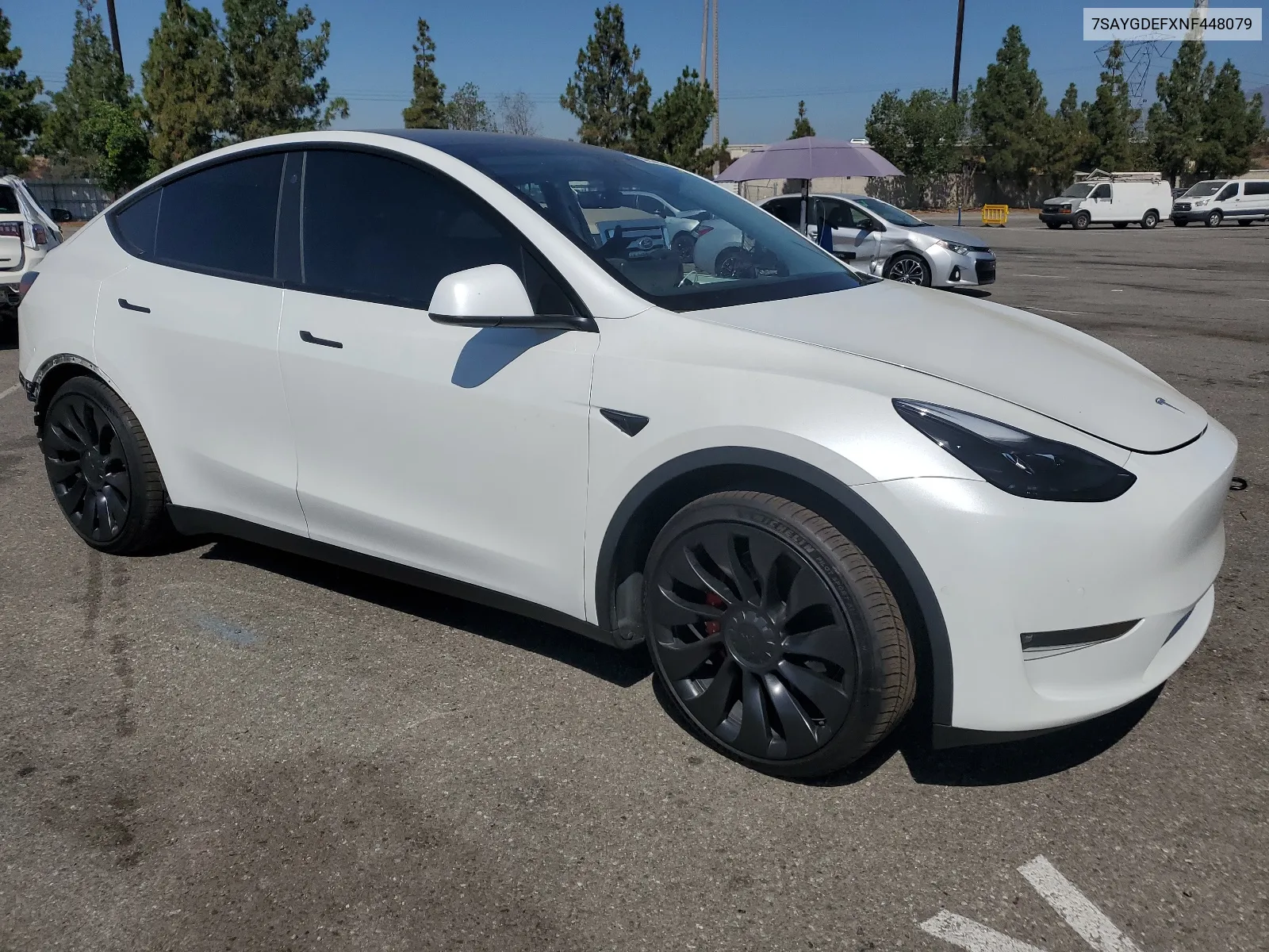 2022 Tesla Model Y VIN: 7SAYGDEFXNF448079 Lot: 66867954