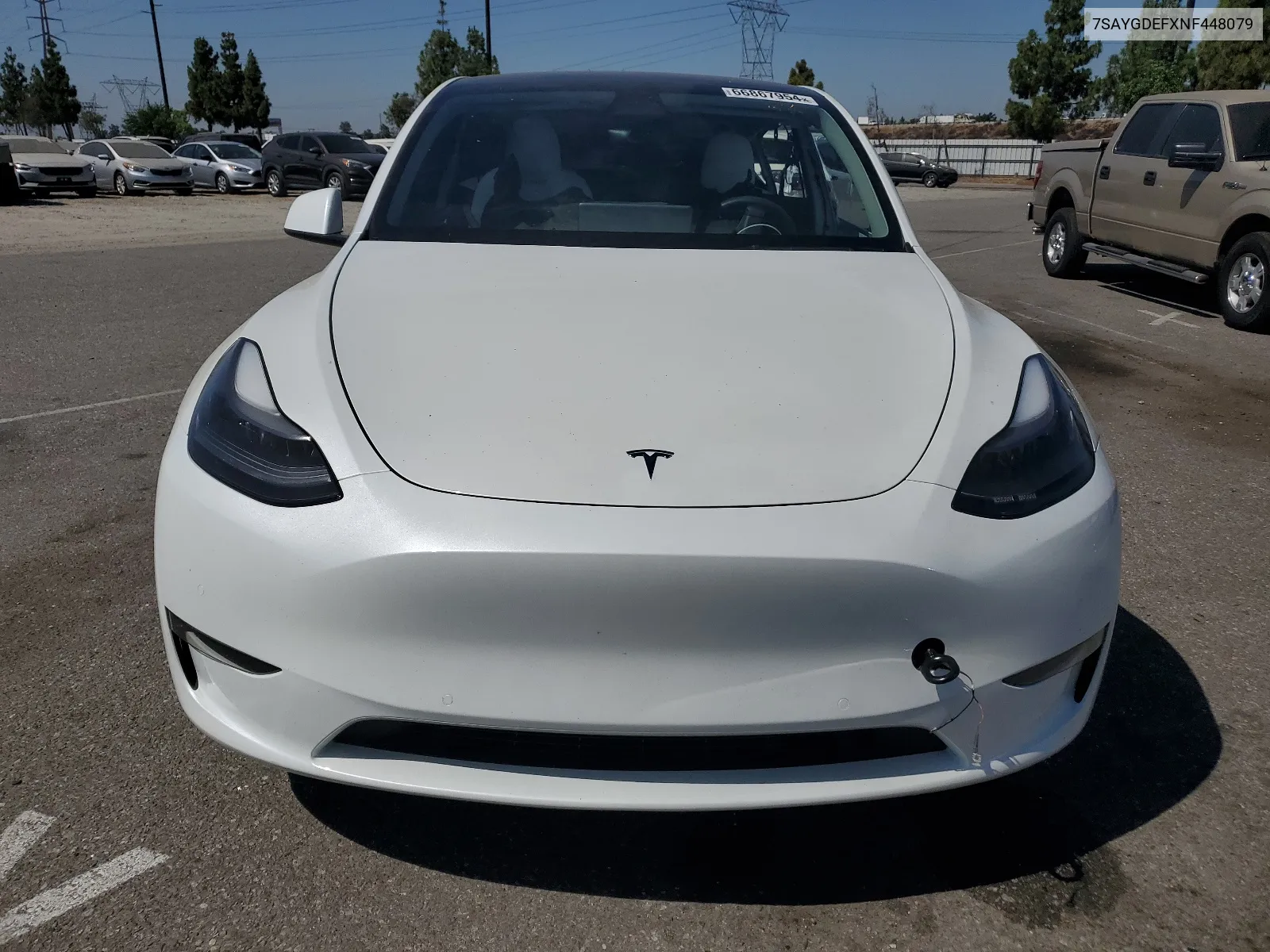 2022 Tesla Model Y VIN: 7SAYGDEFXNF448079 Lot: 66867954