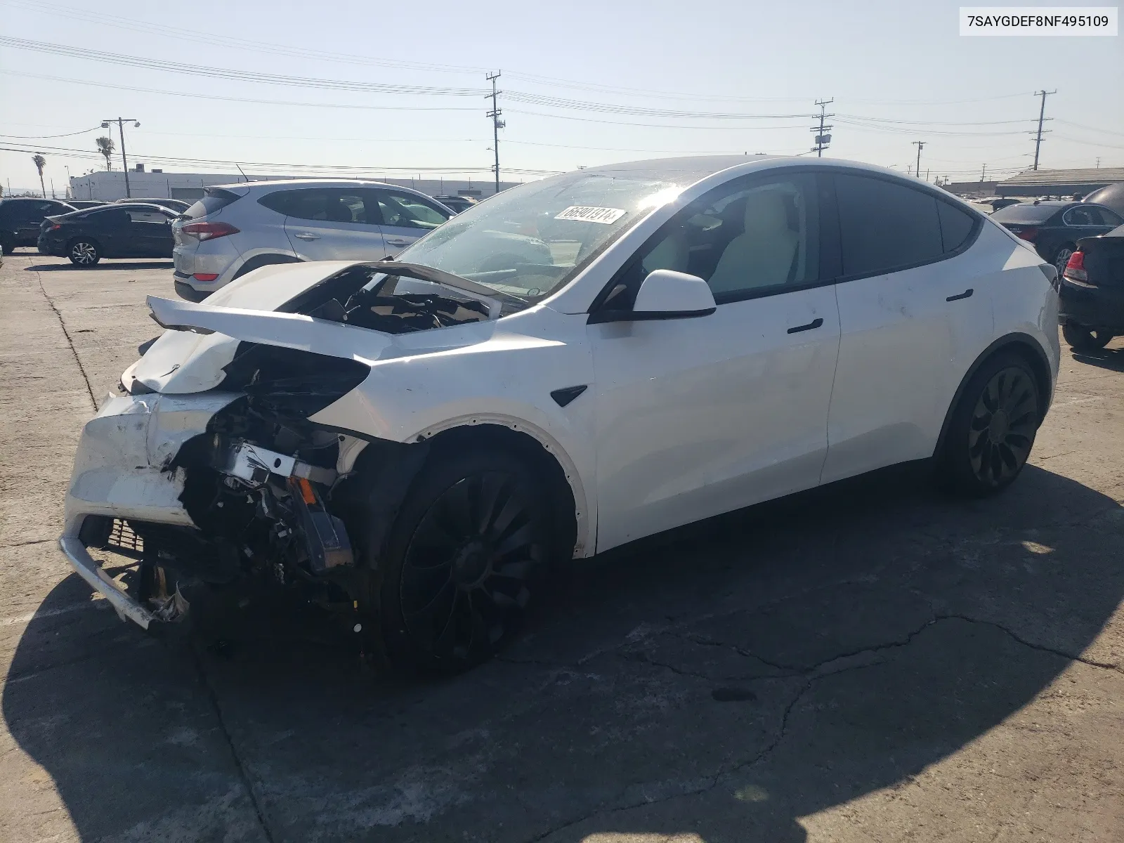 2022 Tesla Model Y VIN: 7SAYGDEF8NF495109 Lot: 66901914