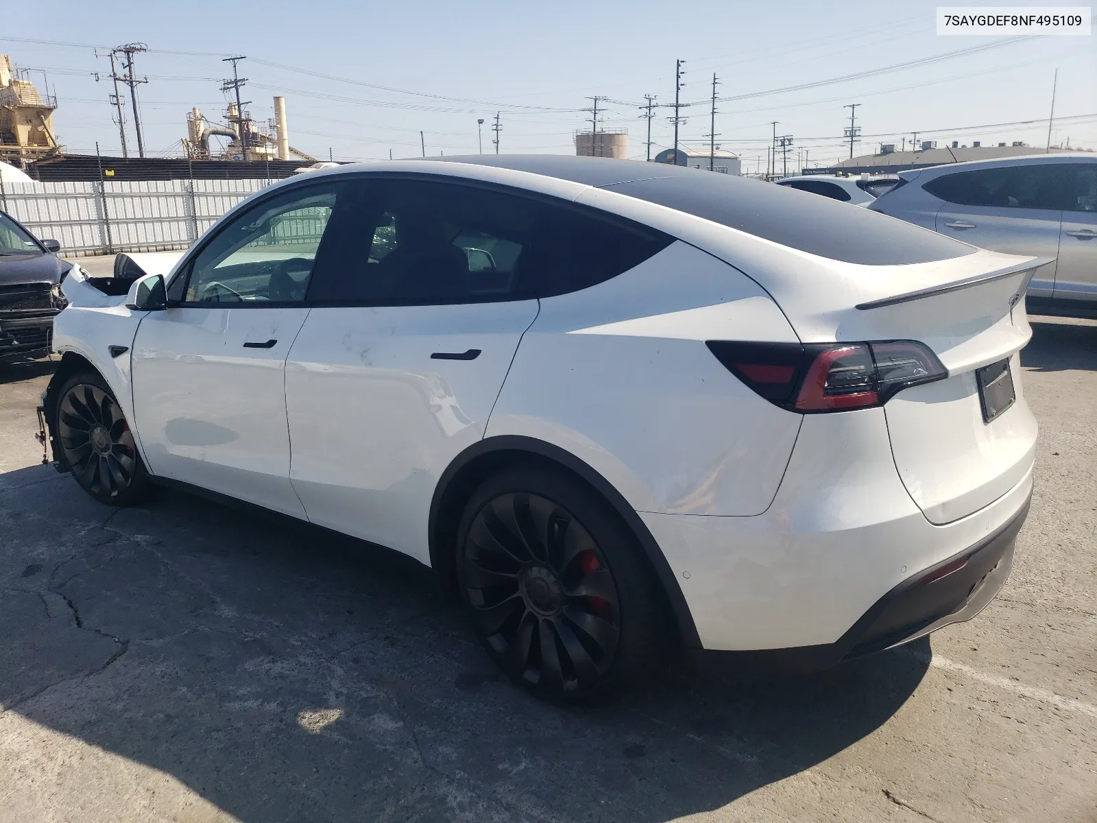 2022 Tesla Model Y VIN: 7SAYGDEF8NF495109 Lot: 66901914