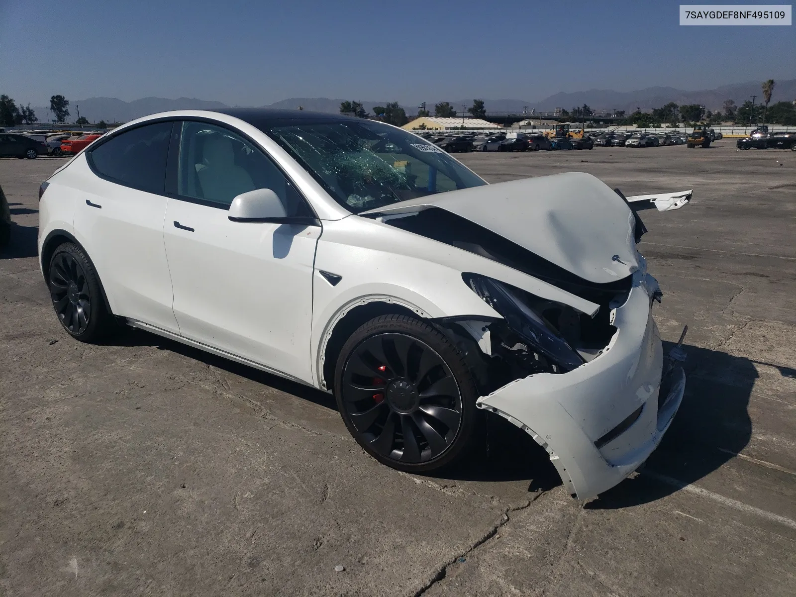 2022 Tesla Model Y VIN: 7SAYGDEF8NF495109 Lot: 66901914