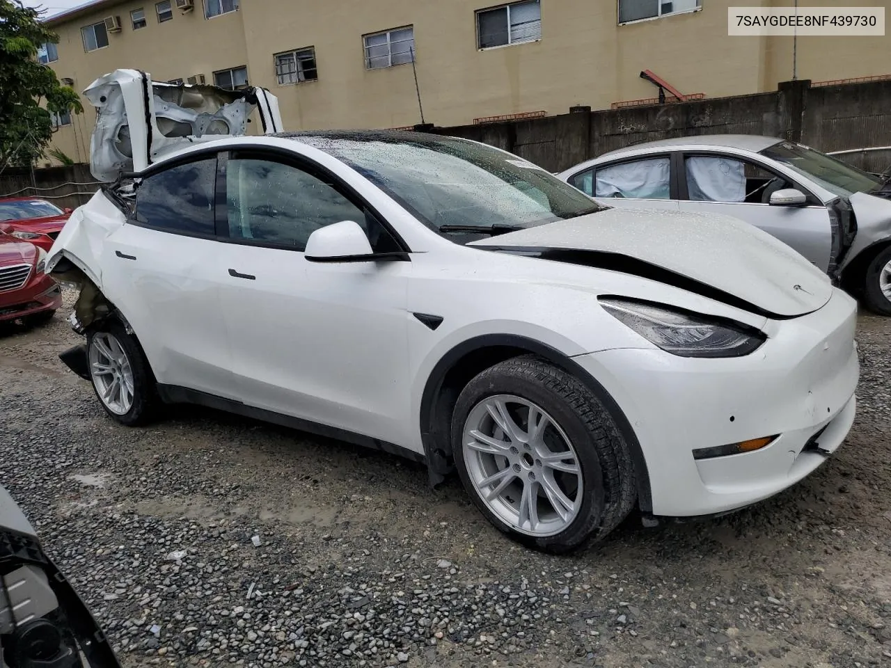 2022 Tesla Model Y VIN: 7SAYGDEE8NF439730 Lot: 67661784