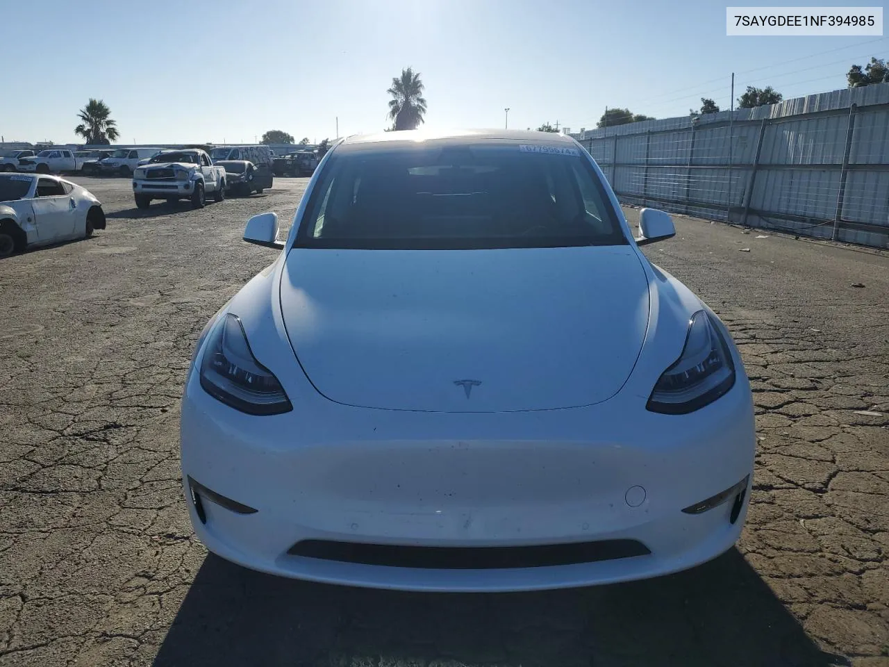 2022 Tesla Model Y VIN: 7SAYGDEE1NF394985 Lot: 67799674