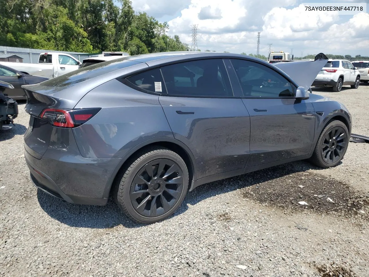 2022 Tesla Model Y VIN: 7SAYGDEE3NF447718 Lot: 67945434