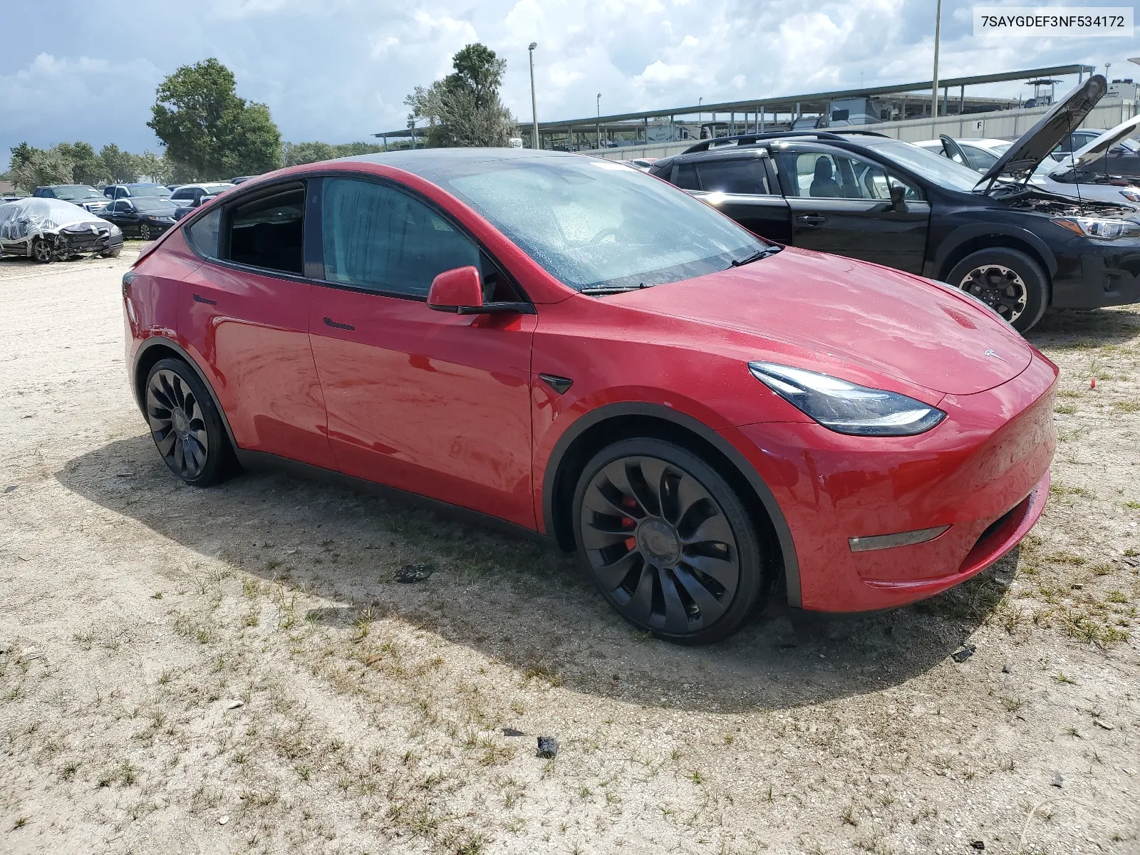 2022 Tesla Model Y VIN: 7SAYGDEF3NF534172 Lot: 68137734