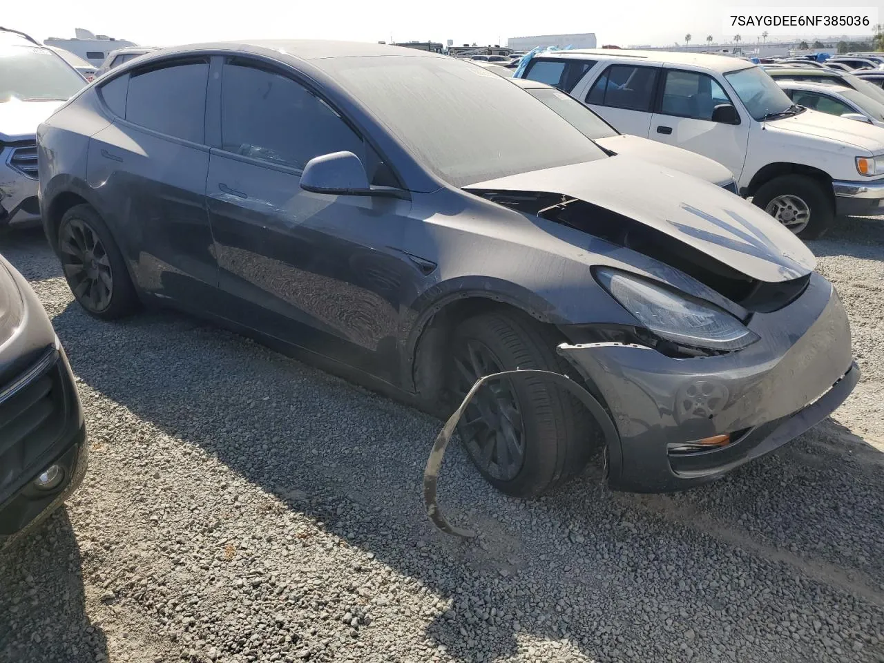 2022 Tesla Model Y VIN: 7SAYGDEE6NF385036 Lot: 68581904