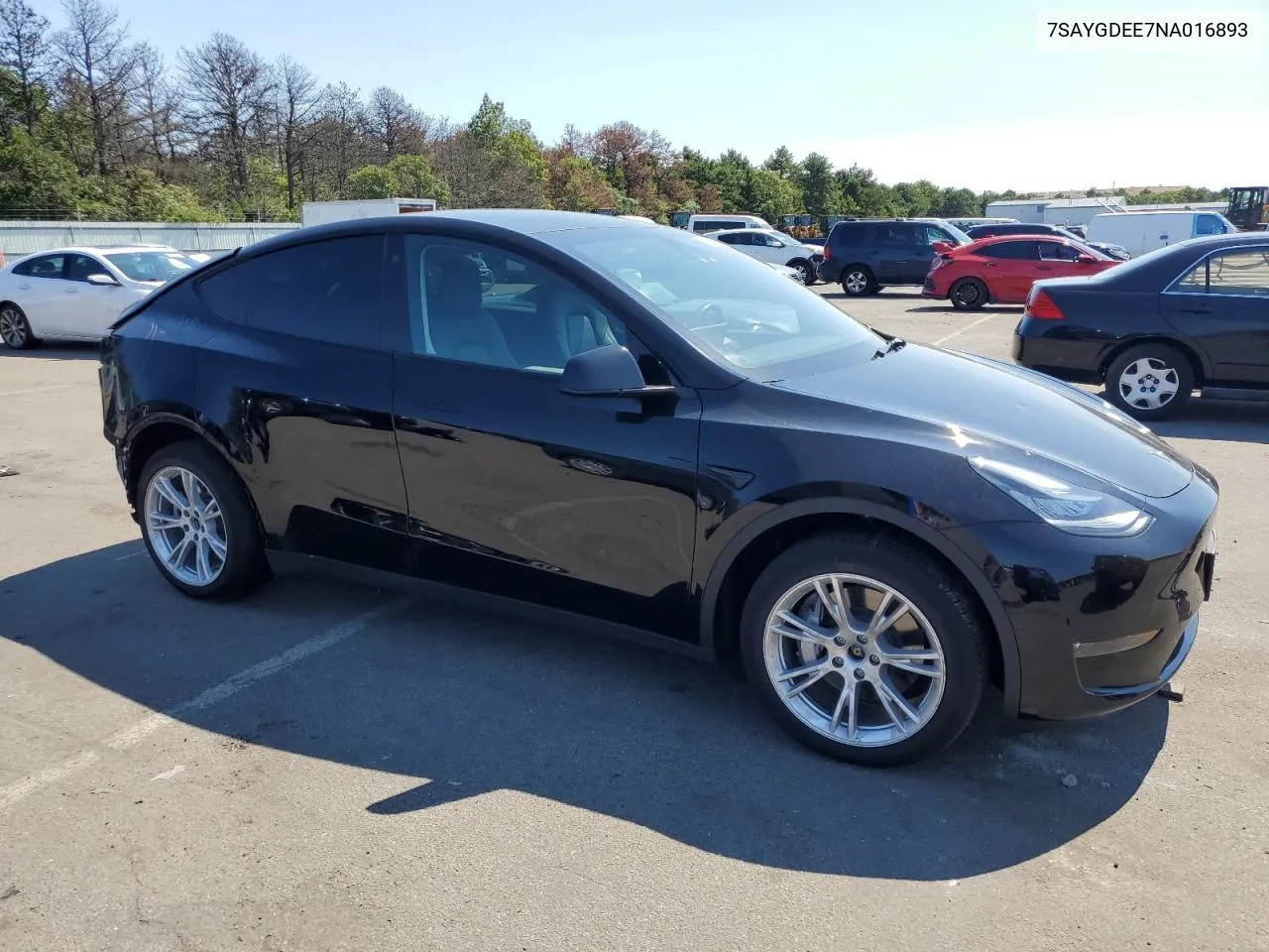 2022 Tesla Model Y VIN: 7SAYGDEE7NA016893 Lot: 68976814