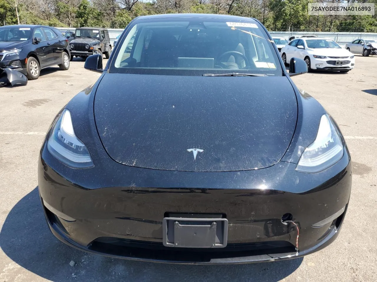 2022 Tesla Model Y VIN: 7SAYGDEE7NA016893 Lot: 68976814