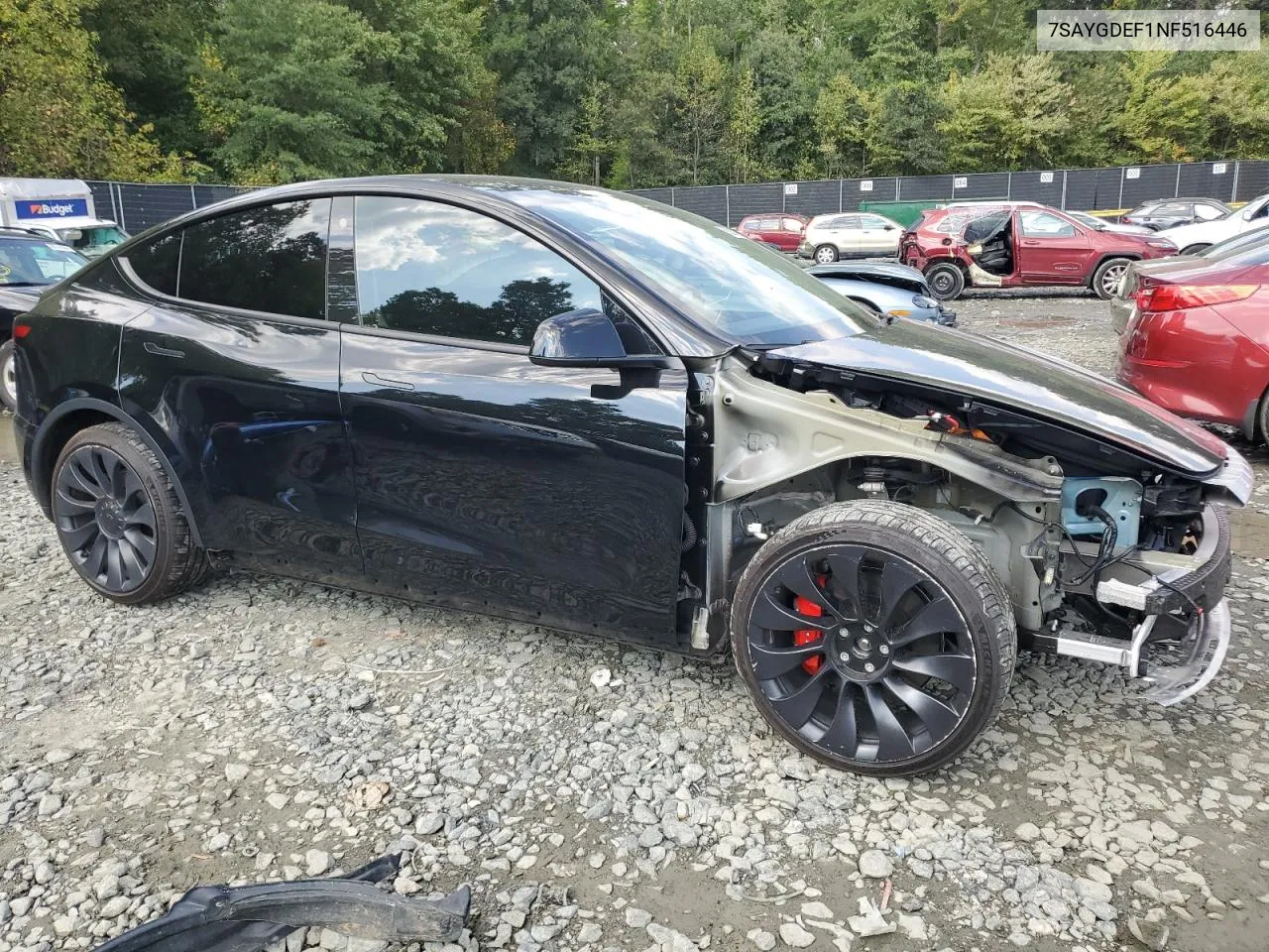 2022 Tesla Model Y VIN: 7SAYGDEF1NF516446 Lot: 69290144