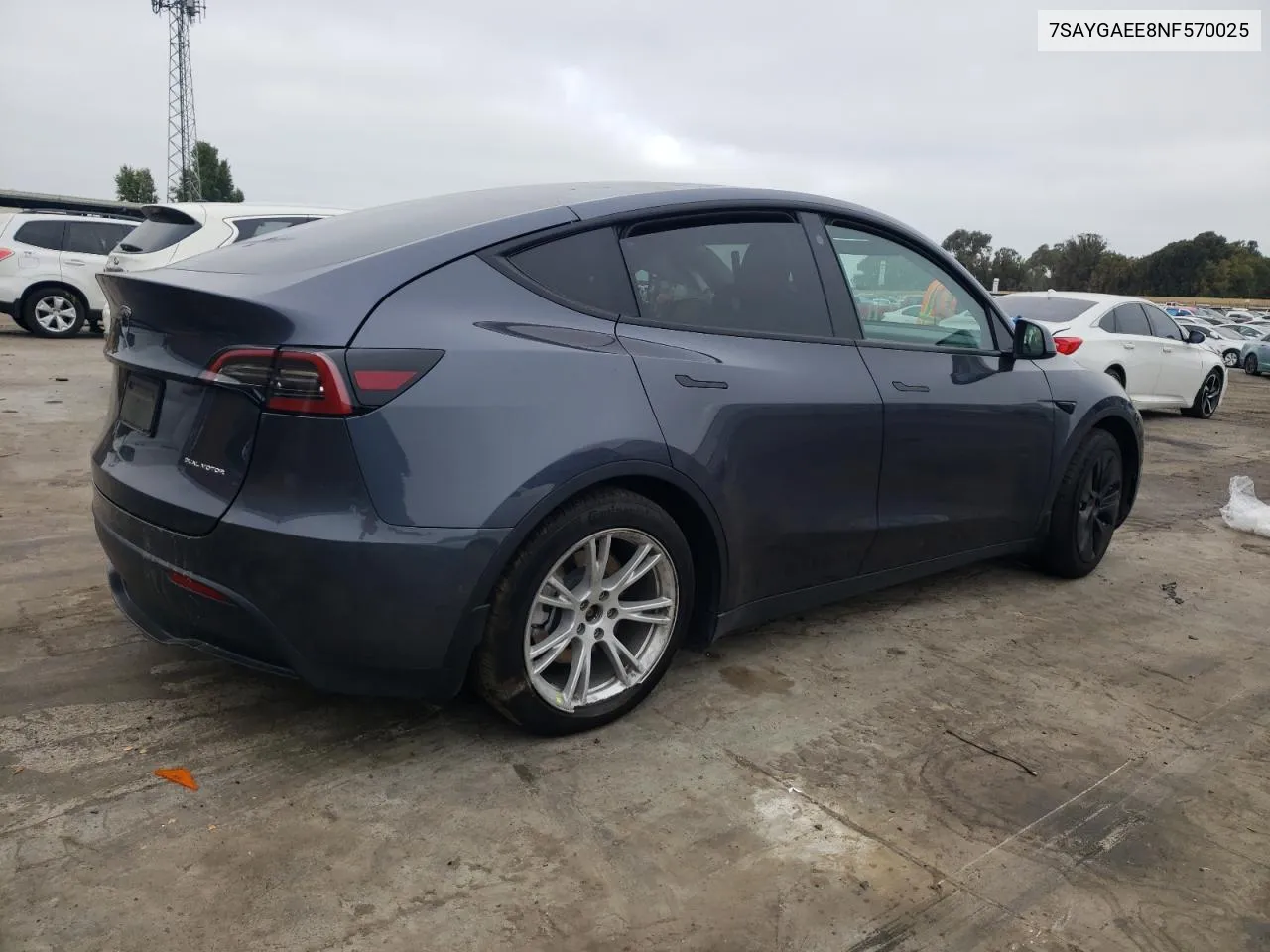 2022 Tesla Model Y VIN: 7SAYGAEE8NF570025 Lot: 69631174