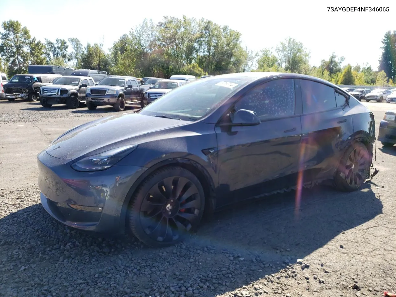 2022 Tesla Model Y VIN: 7SAYGDEF4NF346065 Lot: 69769744