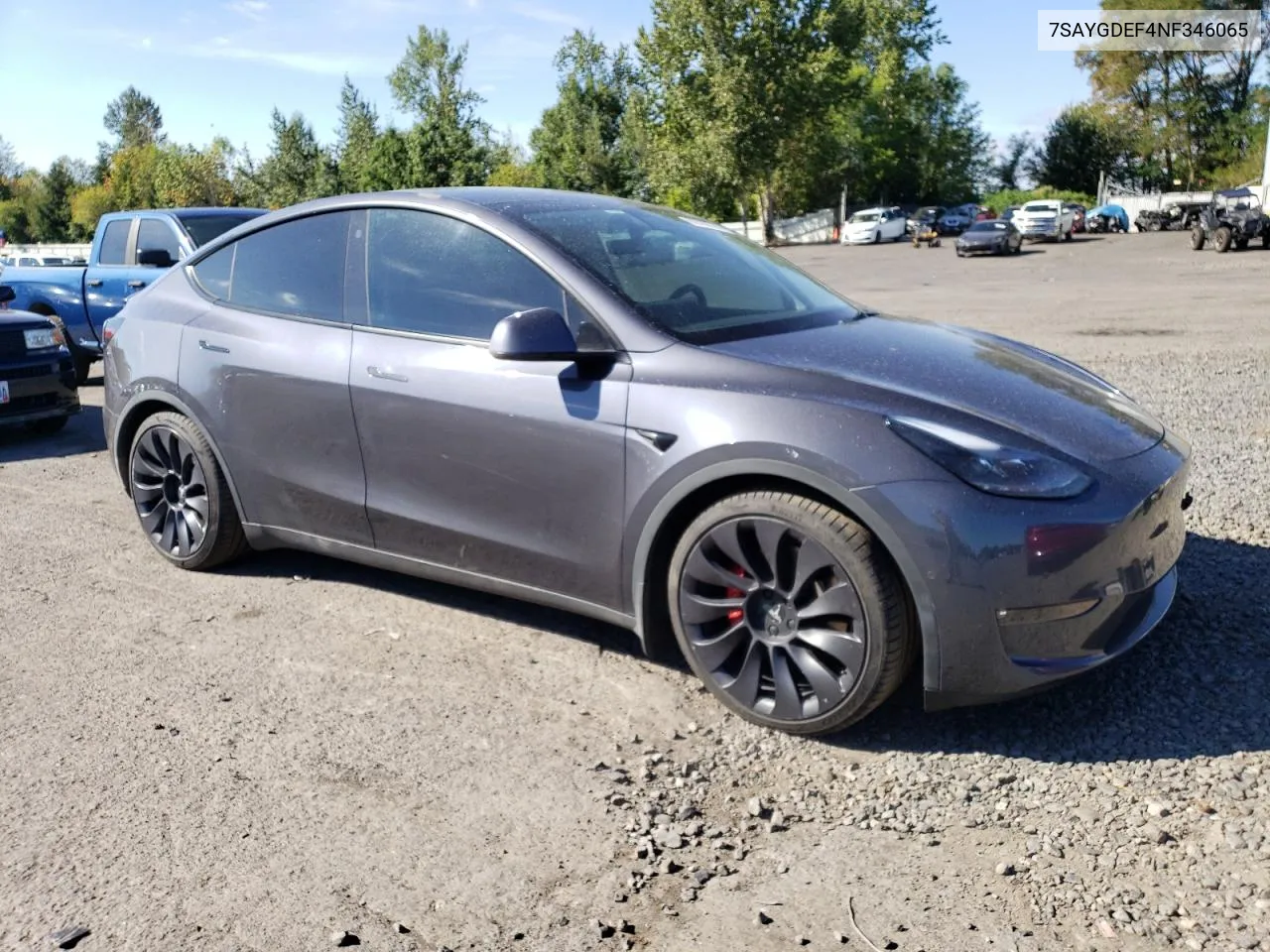 2022 Tesla Model Y VIN: 7SAYGDEF4NF346065 Lot: 69769744