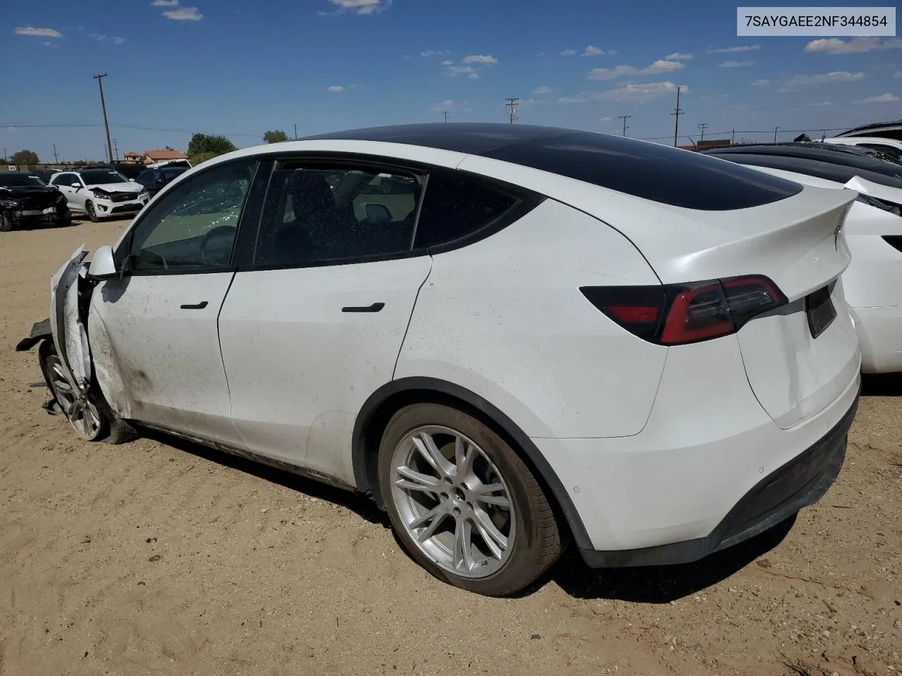 2022 Tesla Model Y VIN: 7SAYGAEE2NF344854 Lot: 70033544